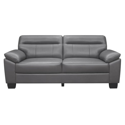 Denizen Sofa in Dark Gray 9537DGY-3 image