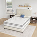 Catmint 10" Full Innerspring Mattress image